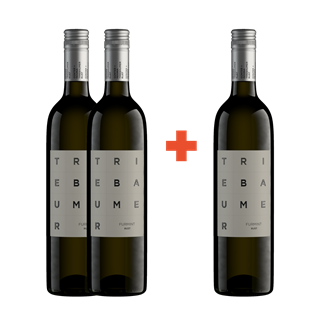 Furmint 2022 – Weingut Triebaumer – 3 Flaschen á 0,75l | 2 + 1 gratis