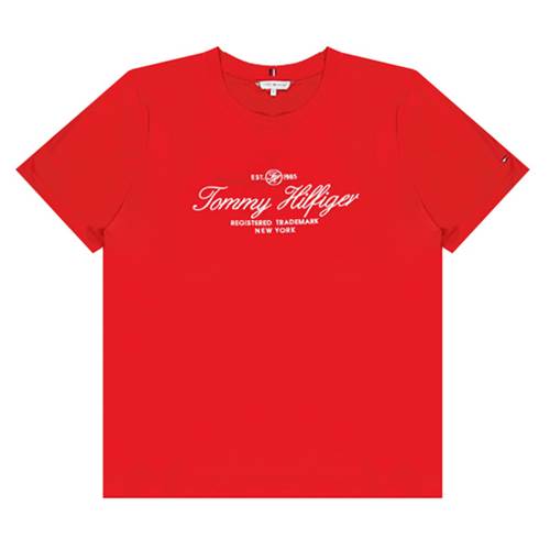 SCRIPT CNECK TSHIRT FIREWORKS